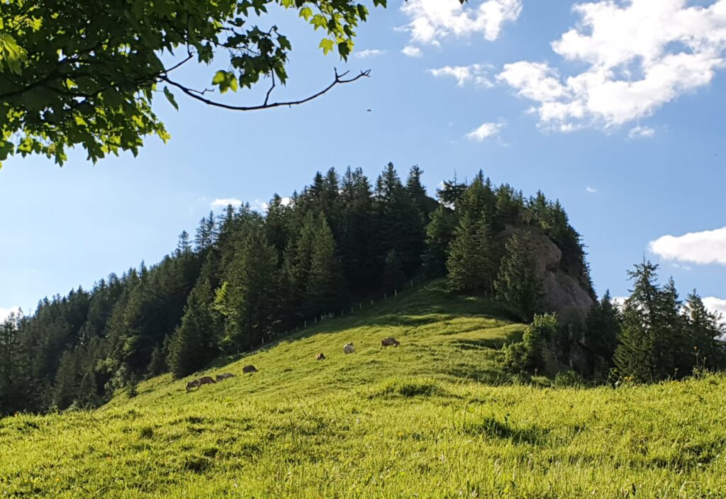 Berggipfel Schild