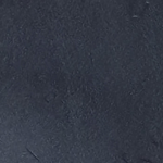 Schwarz Buttero